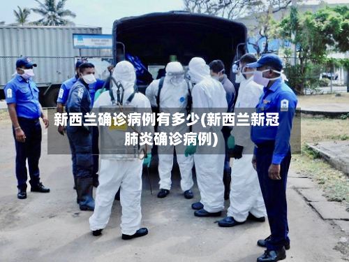 新西兰确诊病例有多少(新西兰新冠肺炎确诊病例)
